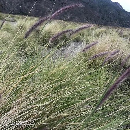 Domus Ligea Ferienhaus Casino di Falcone
