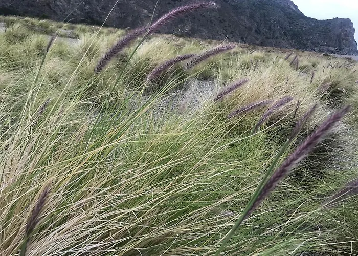 Domus Ligea 펜션 Casino di Falcone